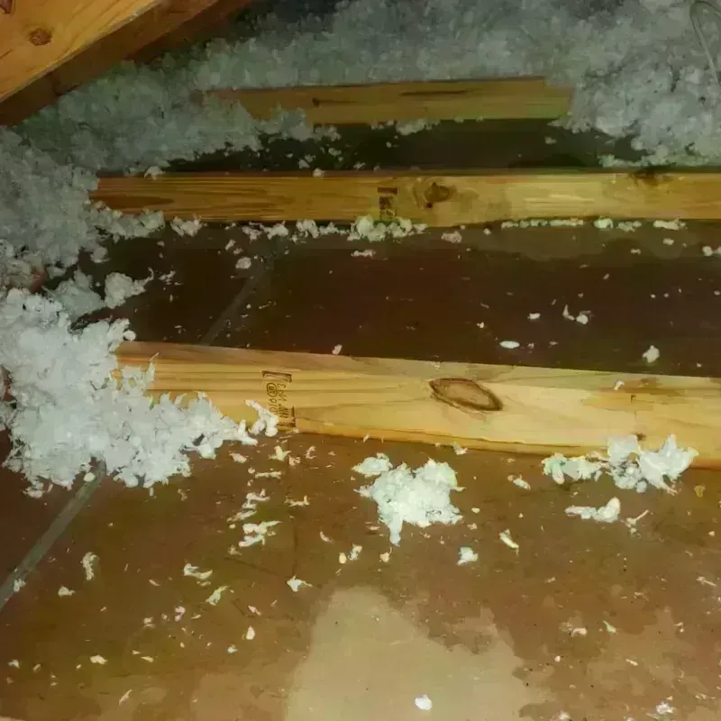 Attic Water Damage in Dutch Harbor, AK